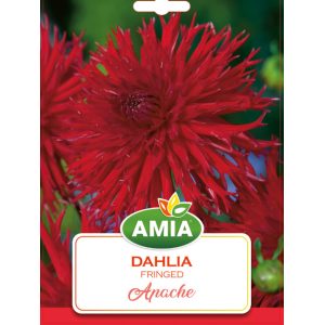 Bulbi Dahlia Apache cal I 1 bucata Amia